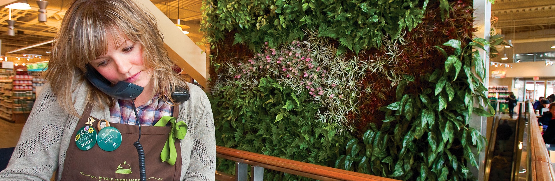 Eco Friendly Living Walls Green Wall Installations